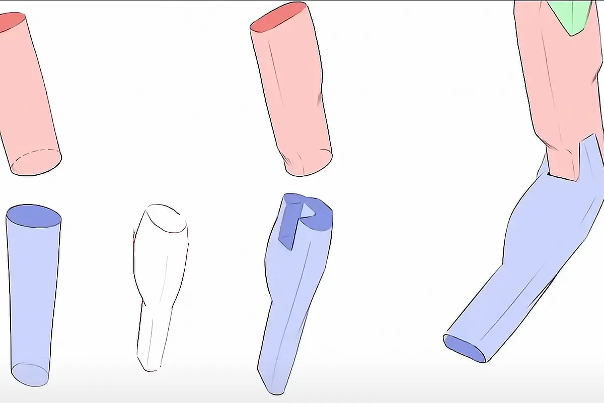 5 étapes pour dessiner l’anatomie en mode facile : le guide du débutant