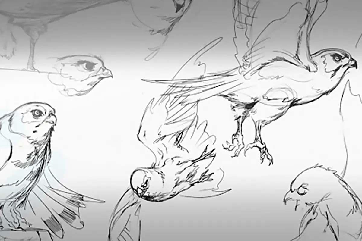Master Drawing Birds: Techniques & Tips for Realistic and Stylized Birds